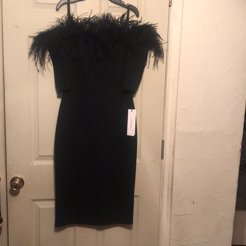 Elegant Black Feathers Dress